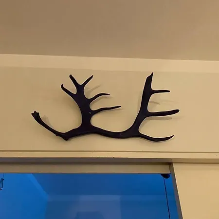 Scandinavian Design In The Center