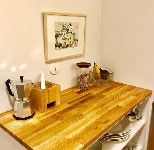 Apartamento Scandinavian Design In The Center Rovaniemi