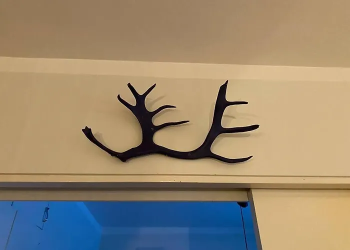 Scandinavian Design In The Center